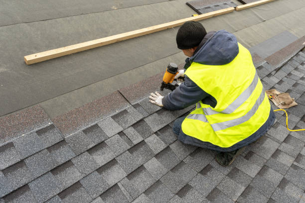 Best Roof Gutter Cleaning  in Brazil, IN