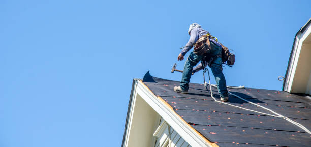 Best Residential Roof Replacement  in Brazil, IN